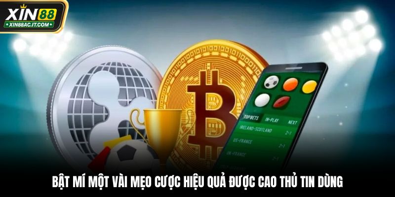 Bật mí một vài mẹo cược hiệu quả được cao thủ tin dùng