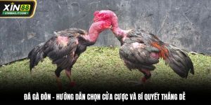 Đá gà đòn