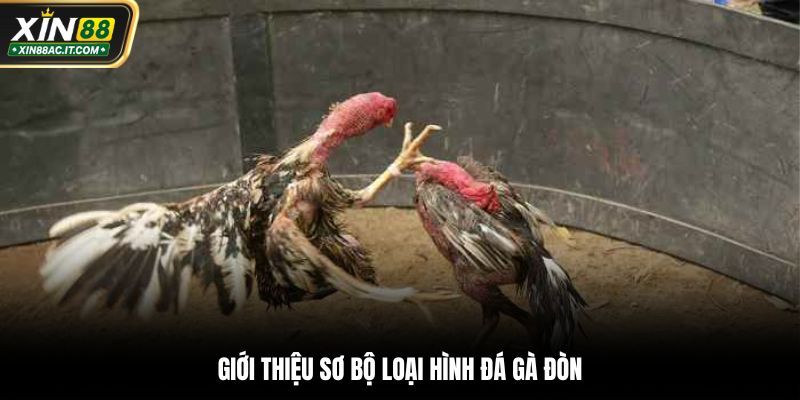 Giới thiệu sơ bộ loại hình đá gà đòn