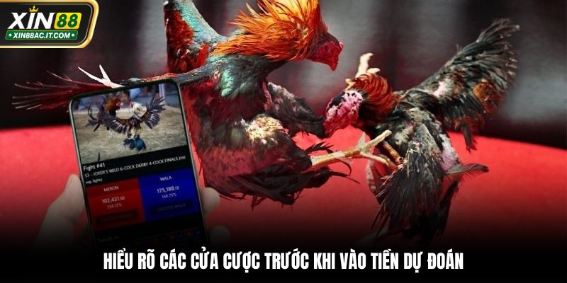 Hiểu rõ các cửa cược trước khi vào tiền dự đoán