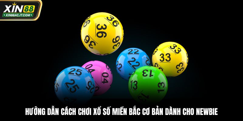 Hướng dẫn cách chơi xổ số miền Bắc cơ bản dành cho newbie