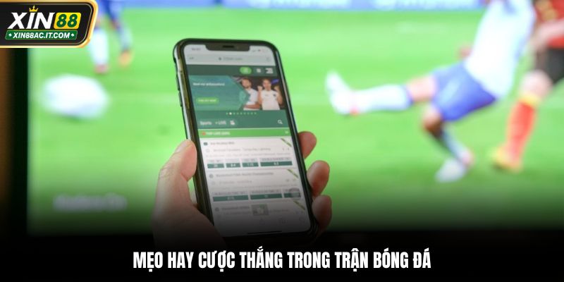 Mẹo hay cược thắng trong trận bóng đá