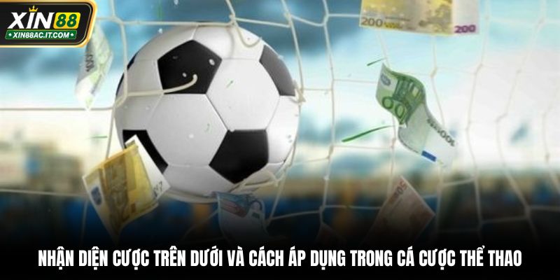 Nhận diện cược trên dưới và cách áp dụng trong cá cược thể thao
