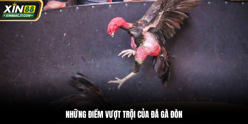 Những điểm vượt trội của đá gà đòn
