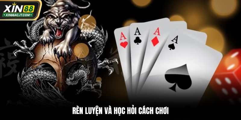 Rèn luyện và học hỏi cách chơi Rồng Hổ Xin88
