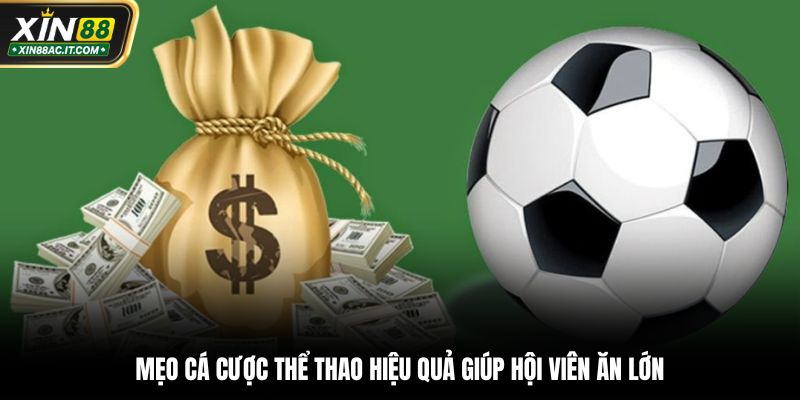Mẹo cá cược thể thao hiệu quả giúp hội viên ăn lớn
