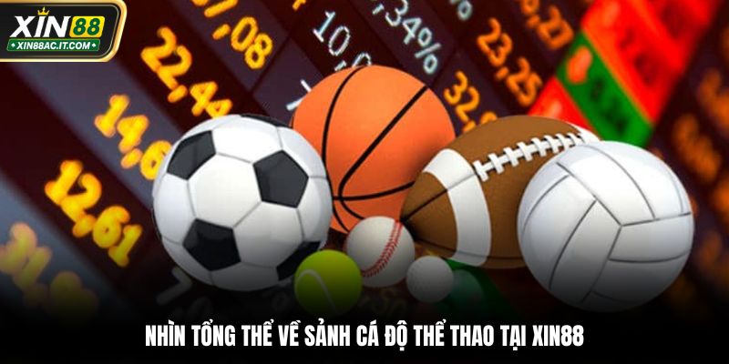 Nhìn tổng thể về sảnh cá độ thể thao tại XIN88