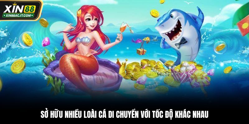 Sở hữu nhiều loài cá di chuyển với tốc độ khác nhau